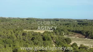 Mansión Lujo, Campo de Golf Privado, 500 ha,