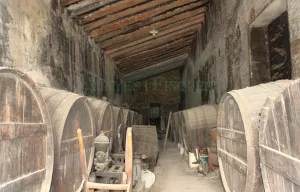 Masia medieval con viñedo en el Penedès