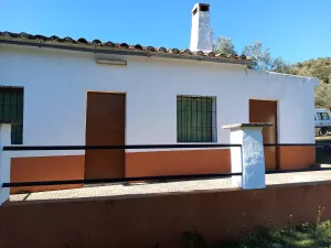 finca  pequeña de olivos