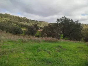 VENTA FINCA EN SIERRA DE ARACENA Y PICOS DE A
