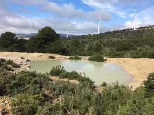 FINCA CINEGETICA Y DE RECREO EN VALENCIA