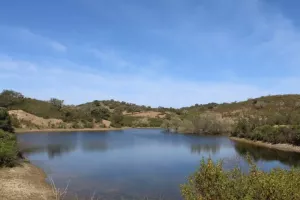 FINCA CINEGETICA EN HUELVA - 1461