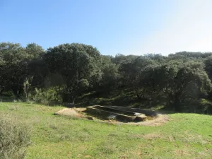 FINCA DE RECREO Y GANADERA EN GUADALAJARA