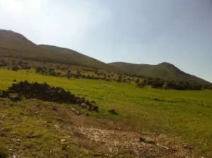 FINCA CINEGETICA EN CIUDAD REAL - 1416