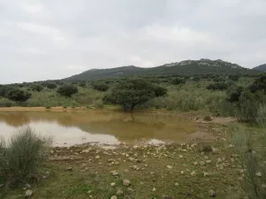 FINCA AGRICOLA Y GANADERA EN BADAJOZ - 1390