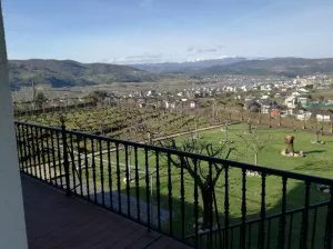 FINCA CON VIÑEDO EN ORENSE - 1362