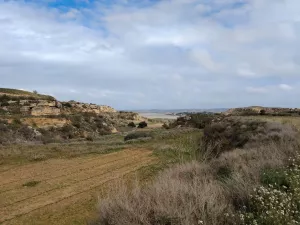 Finca Regadio Caspe Aragon