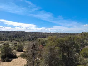 Finca Rustica Fabara Locatión