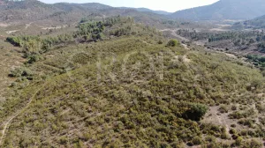 Finca ganadera en Huelva con vivienda y caza