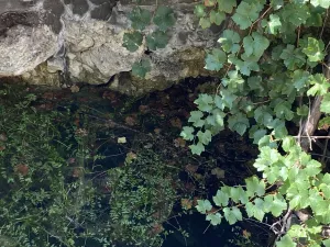 Finca DE 47 hectáreas, con 2 casas en Cuenca