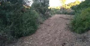 Finca rústica en venta